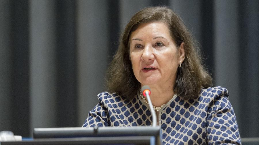 Maria Luiza Ribeiro Viotti durante discurso em Assembleia Geral da ONU. Imagem: Rick Bajornas/UN Photo