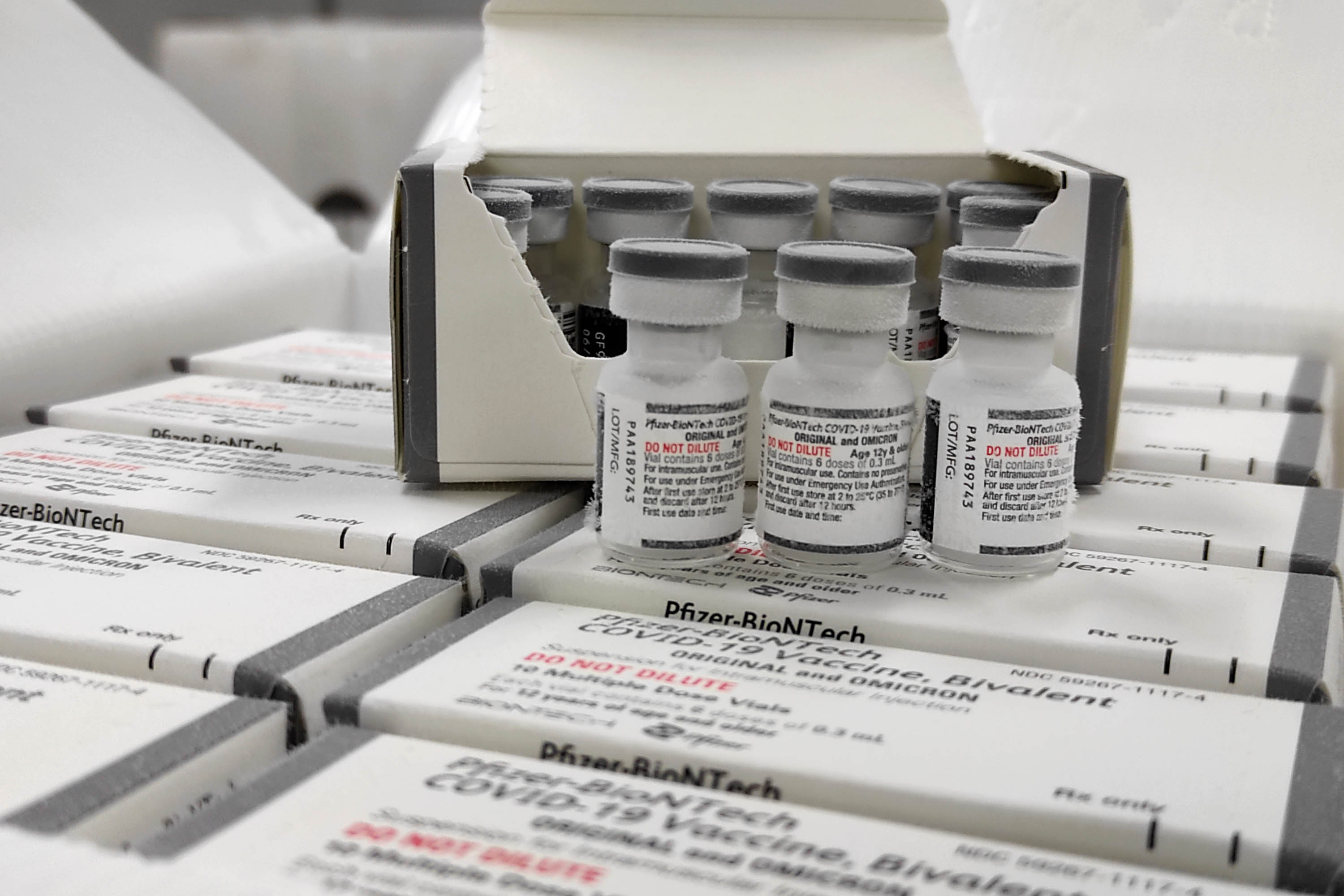 Paraná recebe as primeiras doses da vacina bivalente contra a Covid-19 Foto: Danilo Avanci/SESA