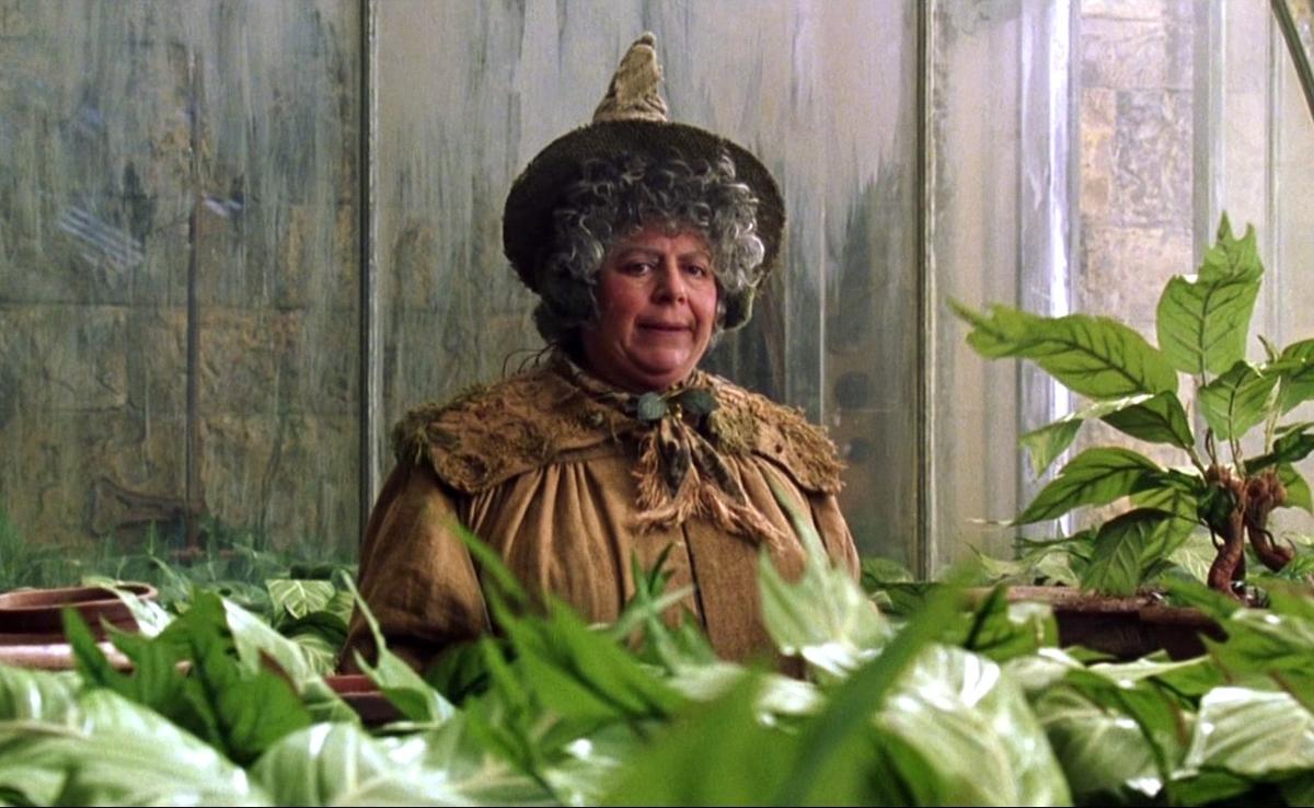 A atriz Miriam Margolyes na pele da professora Pomona Sprout em 'Harry Potter' [Fotografia: Divulgação]