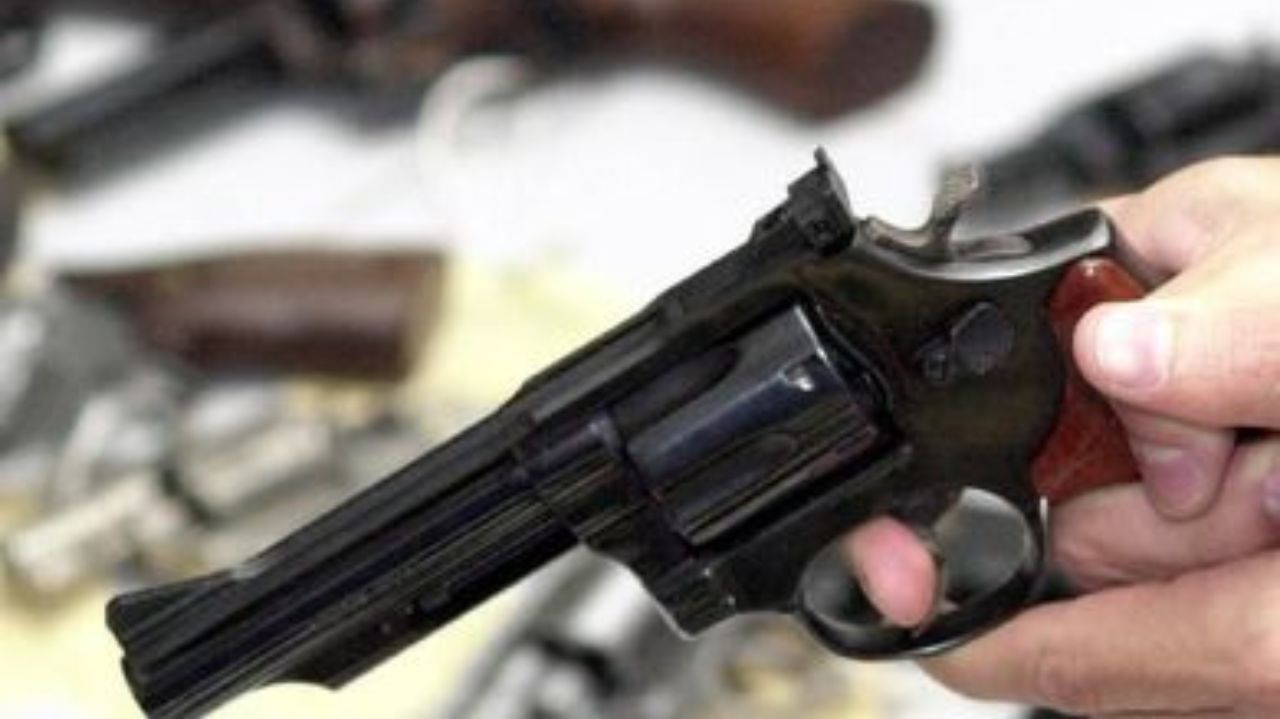  STF barrou compra de armas de fogo para uso pessoal - Foto: Agência Brasil