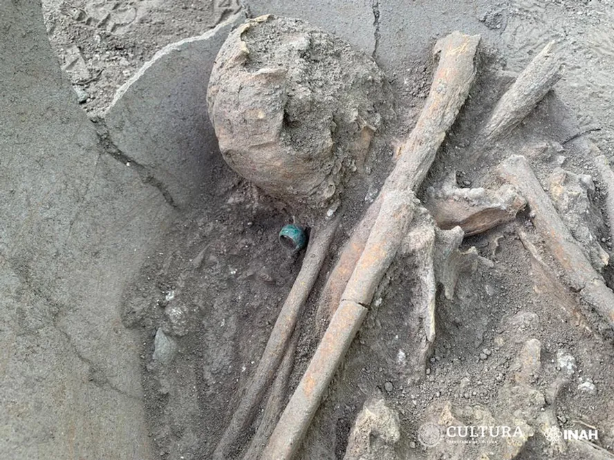 Arqueólogos desenterraram o esqueleto de um jovem maia sacrificado com um grande anel de jade - Foto: INAH Campeche
