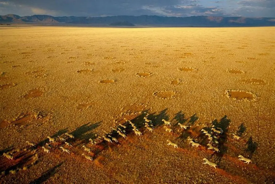 Círculos de fadas na Namíbia - Foto: Reprodução