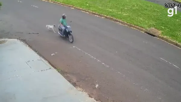 Moto arrasta cachorro pela corrente, em Umuarama - Foto: Reprodução