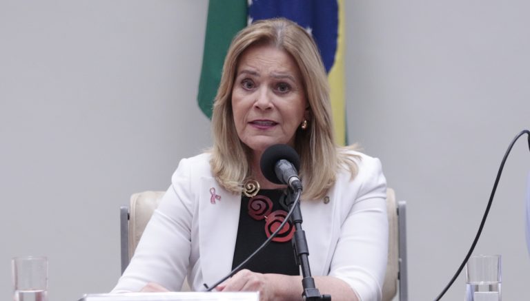 Carolina Souza / Câmara dos Deputados 