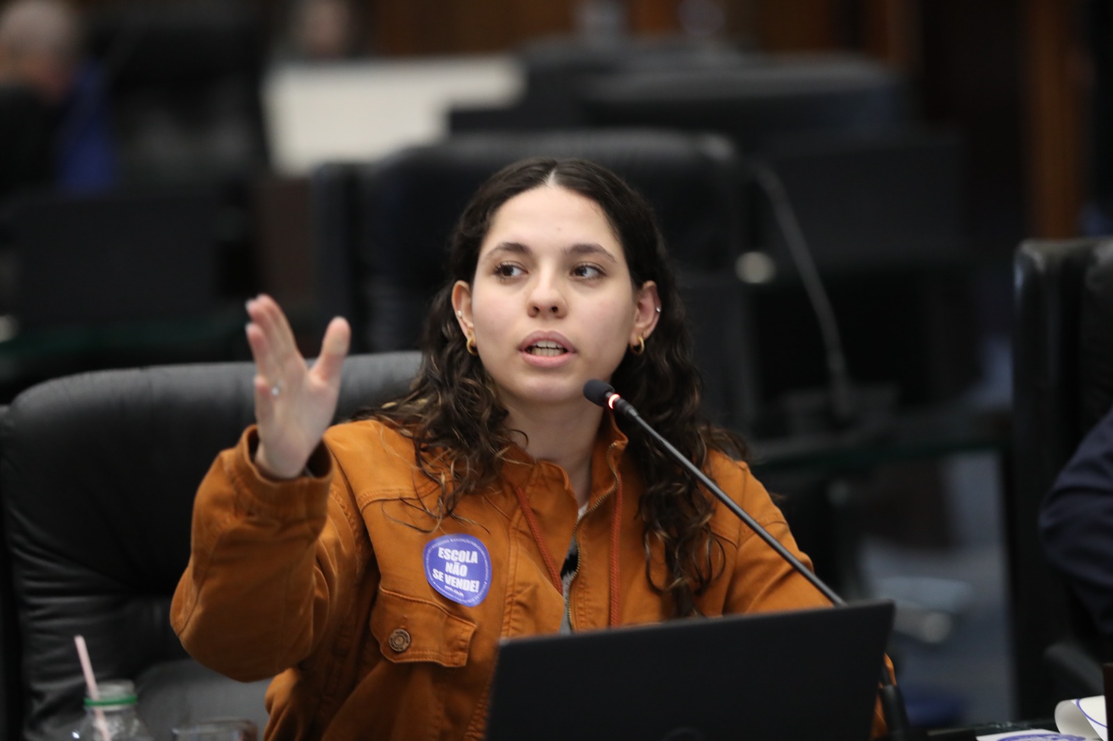 Deputada Ana Júlia Ribeiro, no plenário da Assembleia | foto: Orlando Kissner/Alep